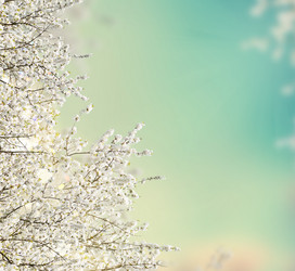 Similar image 13038741