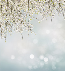 Similar image 13038781