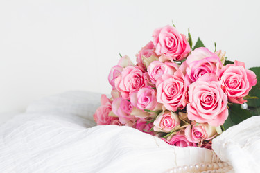 Similar image 13017052