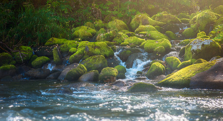 Similar image 13035293