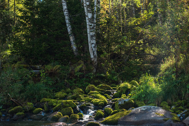 Similar image 13035376