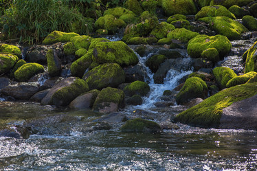 Similar image 13035467