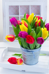 Similar image 13023458