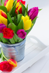 Similar image 13023542