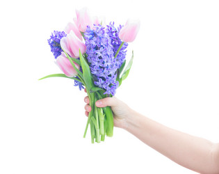 Similar image 13038981