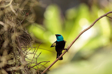 Similar image 13051415