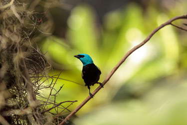 Similar image 13051418