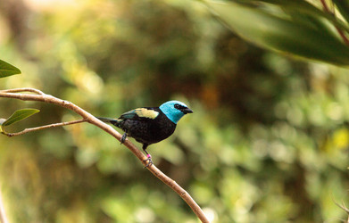 Similar image 13051419