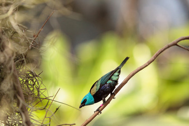 Similar image 13051420