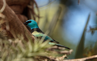 Similar image 13051440