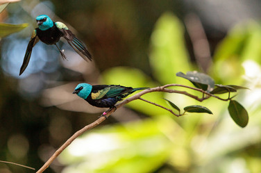 Similar image 13051156