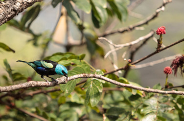 Similar image 13051158