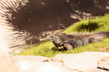 Similar image 13051159