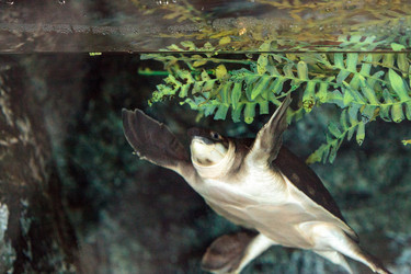 Similar image 13051899