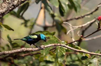 Similar image 13051919