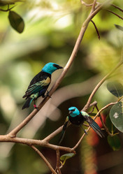 Similar image 13051920