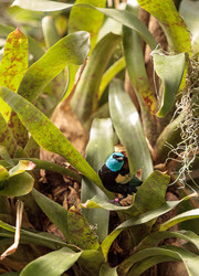 Similar image 13051936