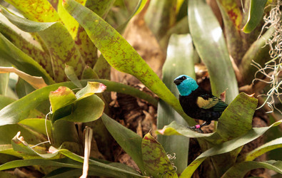 Similar image 13051937