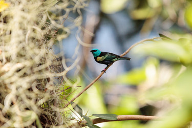 Similar image 13051939