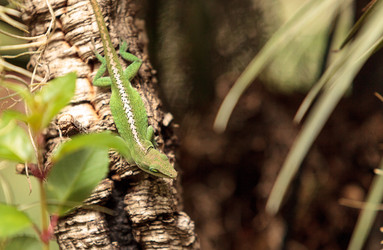 Similar image 13052019