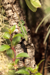 Similar image 13052034