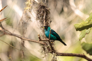 Similar image 13052053