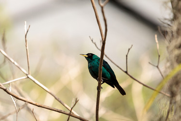 Similar image 13052054