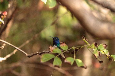 Similar image 13051075