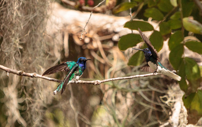 Similar image 13051076