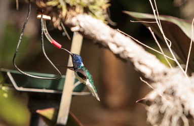 Similar image 13051077