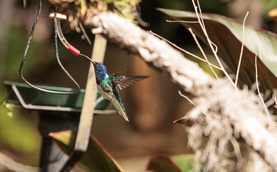 Similar image 13051078