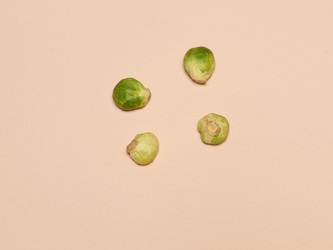 Similar image 13050653