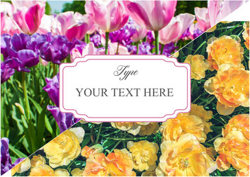 Similar image 13050807