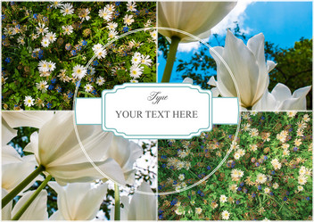 Similar image 13050808