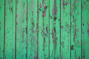 Similar image 13001641