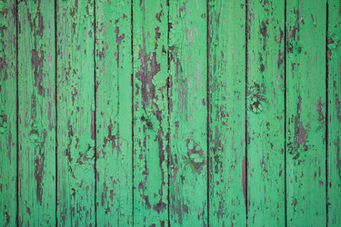 Similar image 13001659