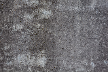 Similar image 13001662