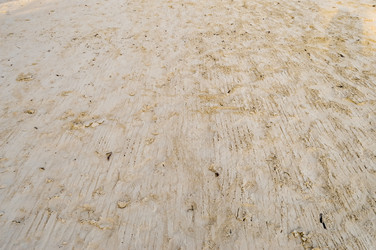 Similar image 13001879