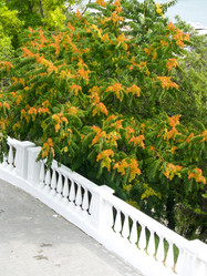 Similar image 13012929
