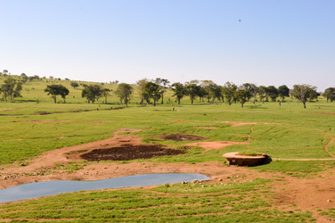 Similar image 13001937