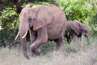 Similar image 13002017