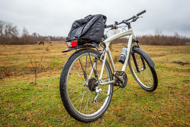 Similar image 13001669