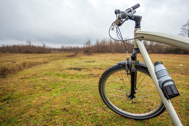 Similar image 13001670