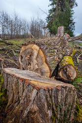 Similar image 13001694