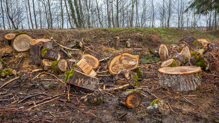 Similar image 13001696