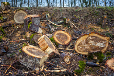 Similar image 13001530