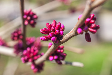 Similar image 13001542