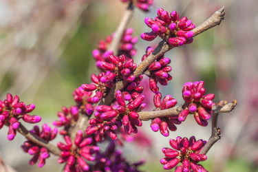 Similar image 13001549