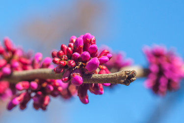 Similar image 13001551