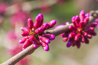 Similar image 13001553